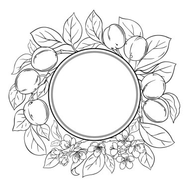 Meyve ve Yaprakları Yuvarlak Çerçeveli Erik Şubesi. Organik doğal besin maddeleri, vejetaryen diyet ürünleri. Tasarım veya dekorasyon için izole edilmiş vektör.