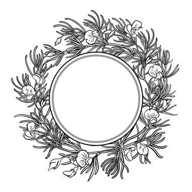 Çiçekler ve Yapraklar Yuvarlak Çerçeveli Rooibos Şubesi. Tasarım veya dekorasyon için izole edilmiş vektör.