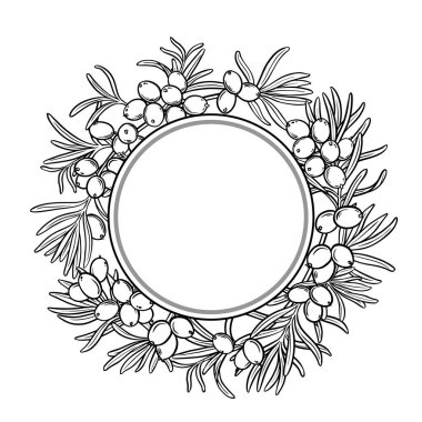 Böğürtlen ve Yapraklar Yuvarlak Çerçeveli Deniz Buckthorn Şubesi. Organik doğal besin maddeleri, vejetaryen diyet ürünleri. Tasarım veya dekorasyon için izole edilmiş vektör.