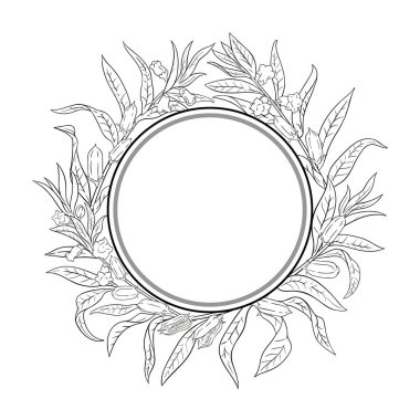 Çiçekler, Tohumlar ve Yapraklar Yuvarlak Çerçeveli Susam Şubesi. Organik doğal besin maddeleri, vejetaryen diyet ürünleri. Tasarım veya dekorasyon için izole edilmiş vektör.