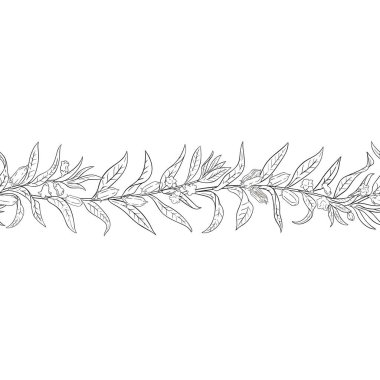 Çiçekler, Tohumlar ve Yapraklar ile Susam Şubesi Yatay Özetle Kusursuz Desen. Organik doğal besin maddeleri, vejetaryen diyet ürünleri. Tasarım veya dekorasyon için izole edilmiş vektör.