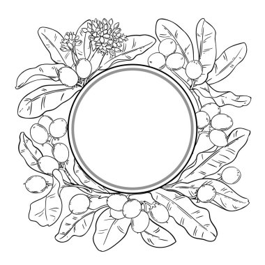 Berry ve Leaves Outline Round Frame ile Shea Branch. Tasarım veya dekorasyon için izole edilmiş vektör.