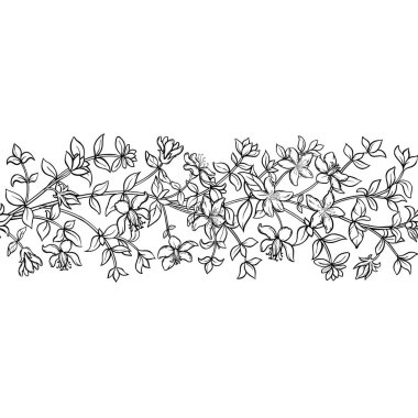 Tutsan Bitkisi wiyh çiçekleri ve Yaprakları Yatay Kusursuz Desen. Tasarım veya dekorasyon için izole edilmiş vektör.