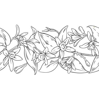 Çiçekler ve Yapraklar ile Vanilla Branch Yatay Kusursuz Desenli Dış Hatlar. Tasarım veya dekorasyon için izole edilmiş vektör.