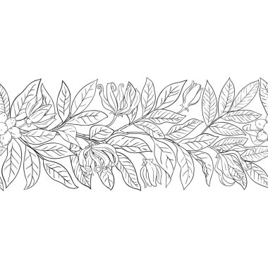 Çiçekler ve Yapraklar ile Ylang Ylang Şubesi Yatay Özetle Kusursuz Desen. Kozmetik, spa, aromaterapi, sağlık ve alternatif tıp için temel yağ bileşeni. Tasarım veya dekorasyon için izole edilmiş vektör.