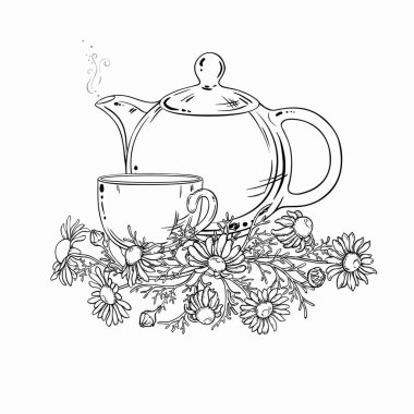 Çaydanlıkta papatya çayı aromalı içecek taslağı. Kafeterya, Posterler, Afişler, Kartlar için Tasarım ve Dekorasyon için vektör izole edildi.