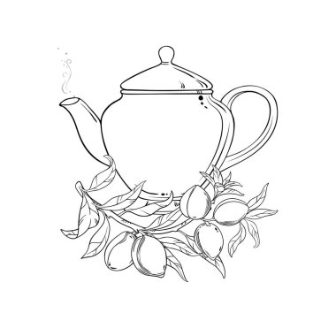 Çaydanlık aromalı badem çayı ana hatlı tasviri. Kafeterya, Posterler, Afişler, Kartlar için Tasarım ve Dekorasyon için vektör izole edildi.