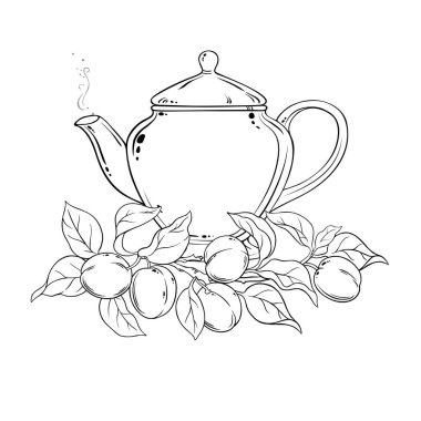 Teapot aromalı kayısı çayı taslağı. Kafeterya, Posterler, Afişler, Kartlar için Tasarım ve Dekorasyon için vektör izole edildi.