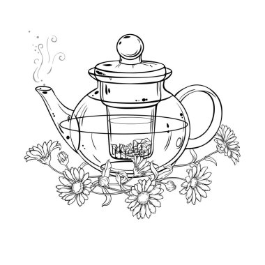 Çaydanlık aromalı Calendula çayı ana hatlı tasviri. Kafeterya, Posterler, Afişler, Kartlar için Tasarım ve Dekorasyon için vektör izole edildi.