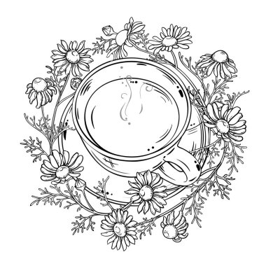 Bir fincan Papatya çayı aromalı içecek Outline Illustration. Kafeterya, Posterler, Afişler, Kartlar için Tasarım ve Dekorasyon için vektör izole edildi.