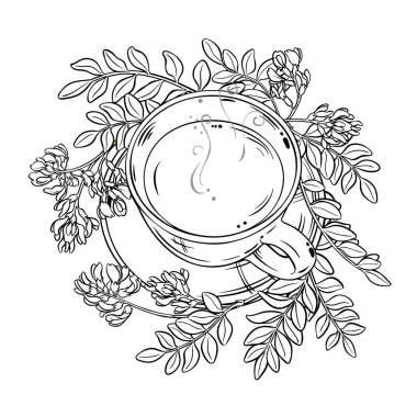 Bir fincan Astragalus Tea aromalı içecek Outline Illustration. Kafeterya, Posterler, Afişler, Kartlar için Tasarım ve Dekorasyon için vektör izole edildi.