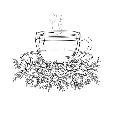 Bir fincan Papatya çayı aromalı içecek Outline Illustration. Kafeterya, Posterler, Afişler, Kartlar için Tasarım ve Dekorasyon için vektör izole edildi.