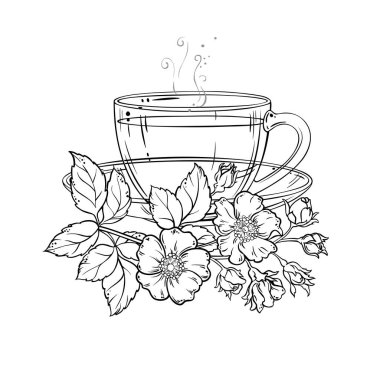 Bir fincan Dog Rose Tea aromalı içecek Outline Illustration. Kafeterya, Posterler, Afişler, Kartlar için Tasarım ve Dekorasyon için vektör izole edildi.