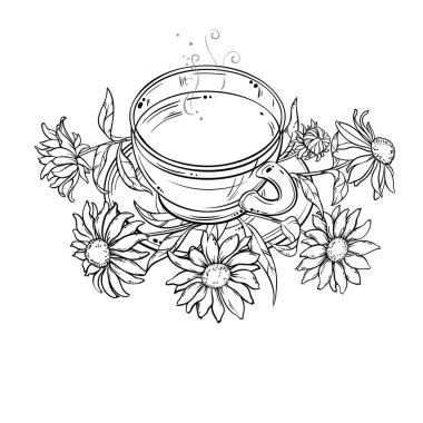 Bir fincan Echinacea Tea aromalı içecek Outline Illustration. Kafeterya, Posterler, Afişler, Kartlar için Tasarım ve Dekorasyon için vektör izole edildi.