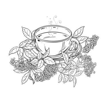 Bir fincan Elderberry Tea aromalı içecek Outline Illustration. Kafeterya, Posterler, Afişler, Kartlar için Tasarım ve Dekorasyon için vektör izole edildi.