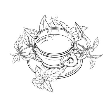 Bir fincan Nettle Tea aromalı içecek Outline Illustration. Kafeterya, Posterler, Afişler, Kartlar için Tasarım ve Dekorasyon için vektör izole edildi.