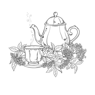 Çaydanlıkta Eldelberry çayı aromalı içecek taslağı. Kafeterya, Posterler, Afişler, Kartlar için Tasarım ve Dekorasyon için vektör izole edildi.