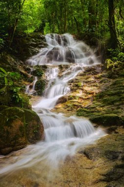 Bereketli bir tropikal şelale, yeşil yağmur ormanlarının derinliklerindeki katmanlı kayaların üzerinde zarifçe çağlar. Pürüzsüz, ipeksi su akıntısı uzun süre maruz kalınca oluşmuş. Dokulu taşlar ve çevreleyen canlı yapraklarla güzel bir tezat oluşturuyor..
