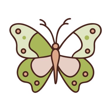 Kelebek böceği izole edilmiş.