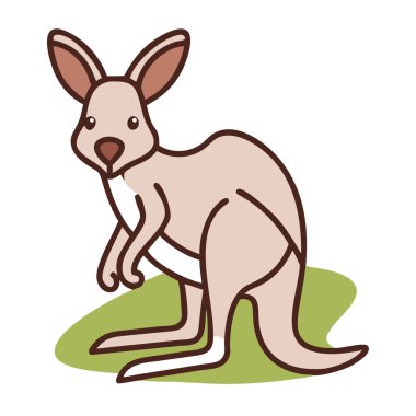 Kanguru, Avustralya kanguru çizgi filmi