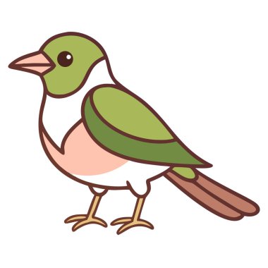 şirin kuş vektör illüstrasyonu