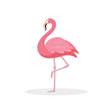 Pembe flamingo beyaz arka planda izole edilmiş. Egzotik tropik kuş karakterleri. Vektör deposu