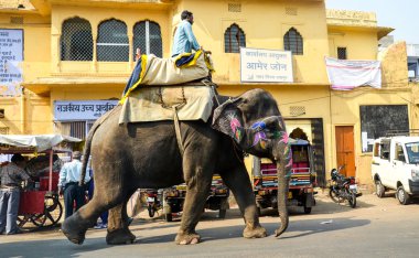 Jaipur, 9 Kasım 2014, Rajasthan, Hindistan sokaklarında 