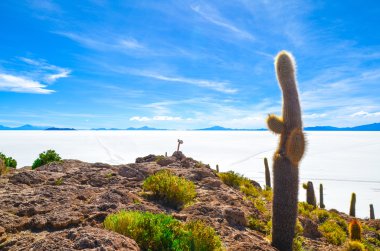 Tuz Çölü, Uyuni, Bolivya, Güney Amerika