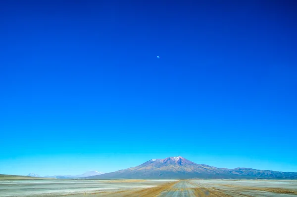 Eduardo avaroa anddean fauna nationales reservat, bolivien — Stockfoto