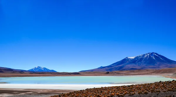 Reserva Nacional Fauna Andina Eduardo Avaroa, Bolivia —  Fotos de Stock