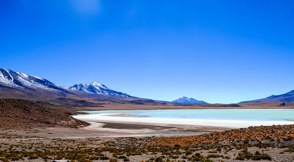 Eduardo Avaroa Andyjskiej fauny rezerwy krajowej, Boliviaos, Eduardo Avaroa Andyjskiej fauny krajowej rezerwy, Boliwia — Zdjęcie stockowe