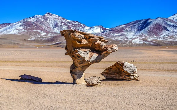 L'albero di pietra, Riserva Nazionale della Fauna Andina di Eduardo Avaroa, Bolivia — Foto Stock