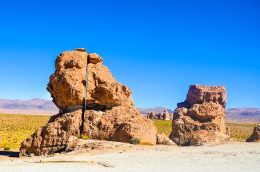 Eduardo avaroa and fauna Ulusal rezerv, Bolivya