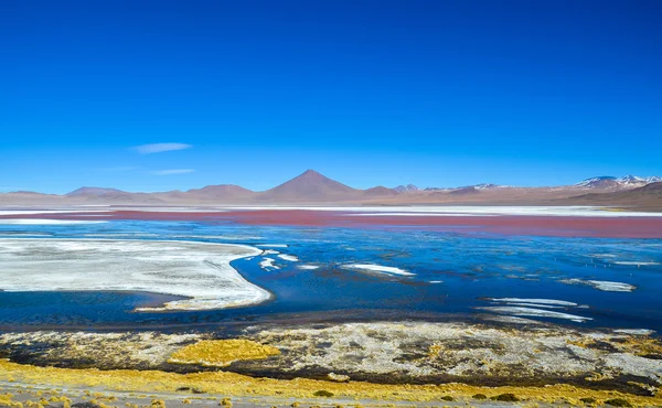 Lagoa Vermelha, Reserva Nacional da Fauna Andina Eduardo Avaroa, Bolívia — Fotografia de Stock