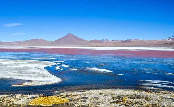 Czerwony laguny, Eduardo Avaroa andyjski fauny krajowej rezerwy, Boliwia — Zdjęcie stockowe