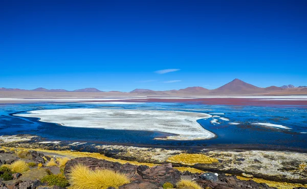 Laguna Roja, Reserva Nacional Fauna Andina Eduardo Avaroa, Bolivia —  Fotos de Stock