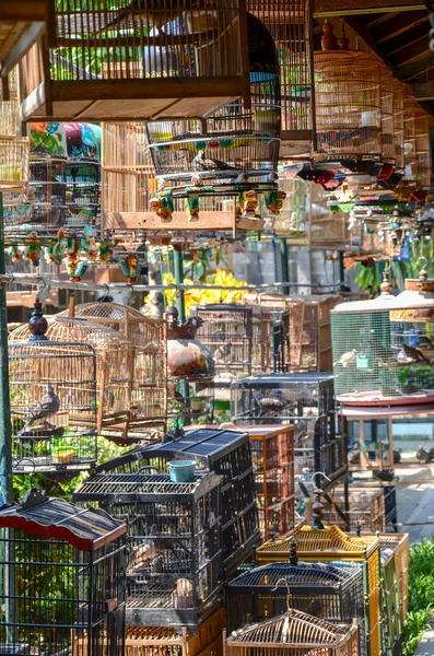 The Birds Market, Yogyakarta, Java, Indonesia