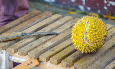 Durian, East Coast Java, Endonezya 