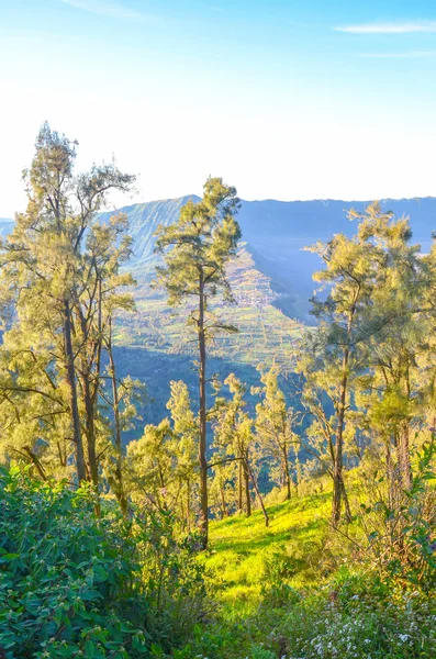 Vista sulle montagne, Giava, Indonesia — Foto Stock