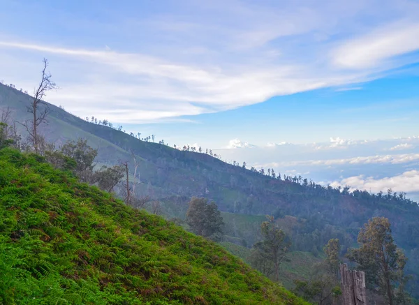 Montagna Ijen, Giava orientale, Indonesia — Foto Stock