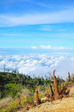 Mountain view, Java, Endonezya