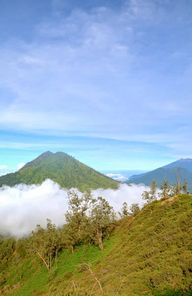 Вид на горы, Ява, Индонезия — стоковое фото