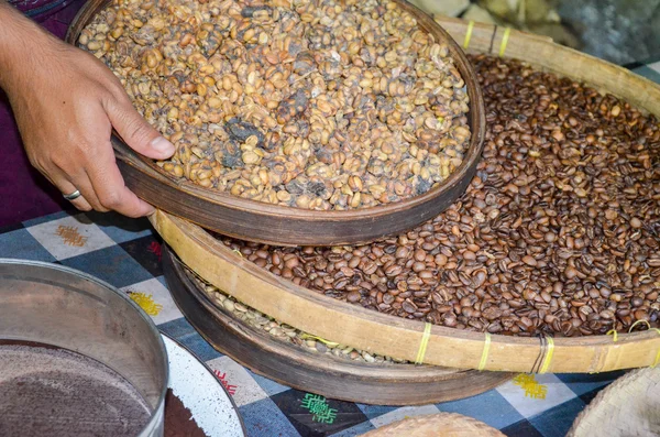 Luwak kahve, Bali, Endonezya