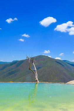 Hierve el Agua durumda Oaxaca, Meksika. 19 Mayıs