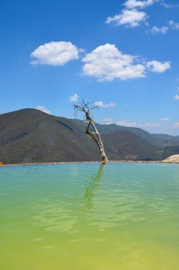 Hierve el Agua durumda Oaxaca, Meksika. 19 Mayıs