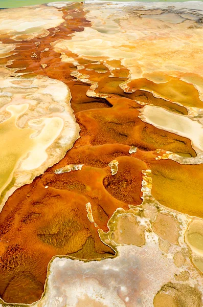 Thermal Mineral Spring Hierve el Agua, Oaxaca, Mexico. 9th May 2015