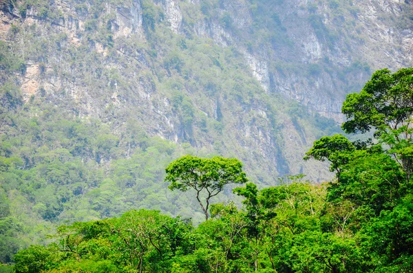 Sumidero Canyon, Chiapas, Mexico — Stock Photo, Image