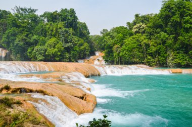 Agua Azul Şelaleleri, Chiapas, Meksika
