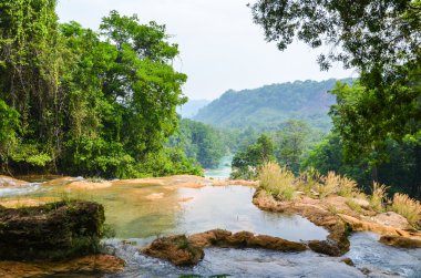 Agua Azul Şelaleleri, Chiapas, Meksika