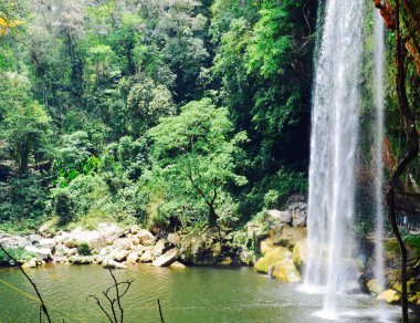 Misol Ha Waterfall, Chiapas, Mexico